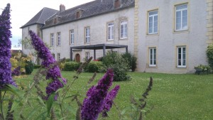 Le château et son jardin